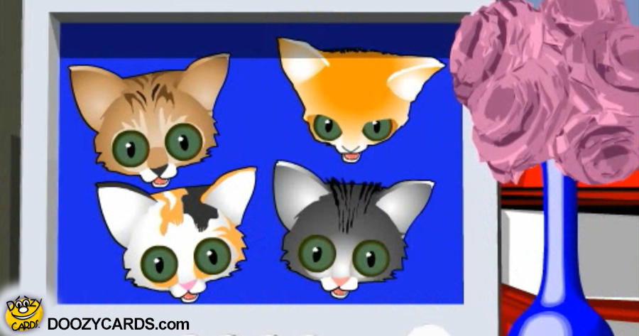 Kittens Office Email
