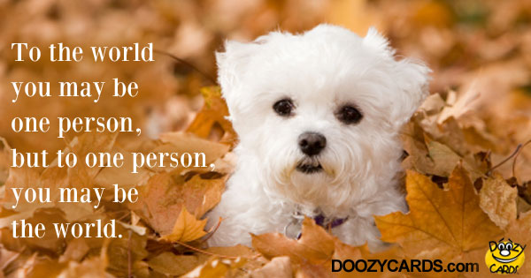 To One Person You're the World