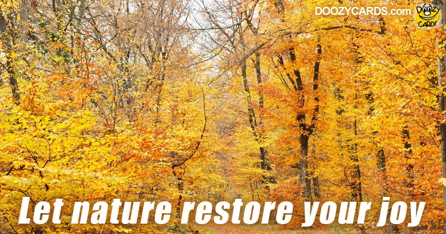 Let Nature Restore Your Joy